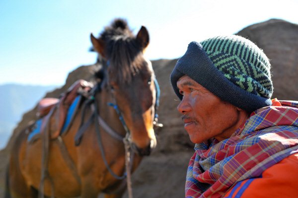 Paarden bij Bromo